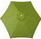 limited_olive