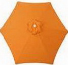 limited_orange
